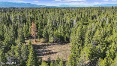 Spirit Lake Acreage For Sale in Spirit Lake Idaho
