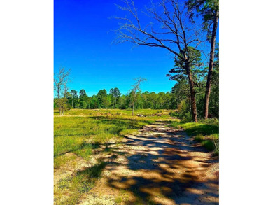 Unrestricted East Texas acreage where your imagination gets to - photo 2