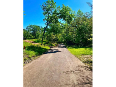 Unrestricted East Texas acreage where your imagination gets to - photo 4