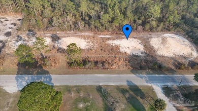 BUILD YOUR NEW HOME OR ZONED FOR MOBILE HOMES!! Large lot ready - photo 4