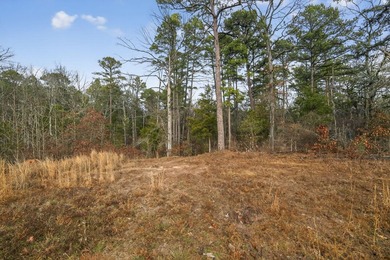 Unrestricted East Texas acreage where your imagination gets to - photo 5