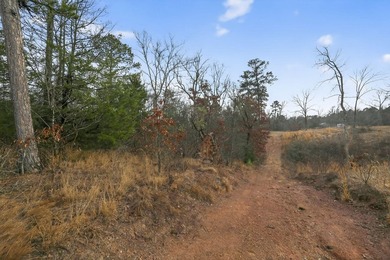 Unrestricted East Texas acreage where your imagination gets to - photo 6