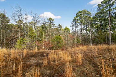 Unrestricted East Texas acreage where your imagination gets to - photo 7