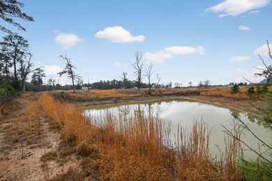 Unrestricted East Texas acreage where your imagination gets to - photo 8