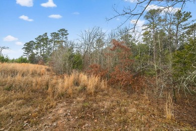 Unrestricted East Texas acreage where your imagination gets to - photo 9