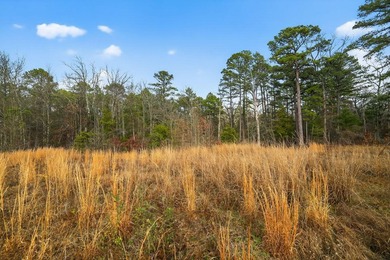 Unrestricted East Texas acreage where your imagination gets to - photo 10