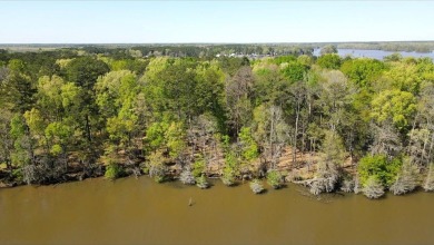 Lake Blackshear Lot For Sale in Cobb Georgia