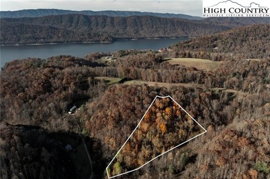 Lake Acreage For Sale in Butler, Tennessee
