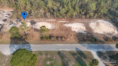 BUILD YOUR NEW HOME OR ZONED FOR MOBILE HOMES!! Large lot ready - photo 2