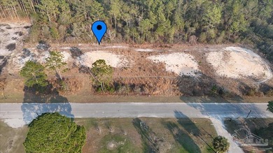BUILD YOUR NEW HOME OR ZONED FOR MOBILE HOMES!! Large lot ready - photo 3