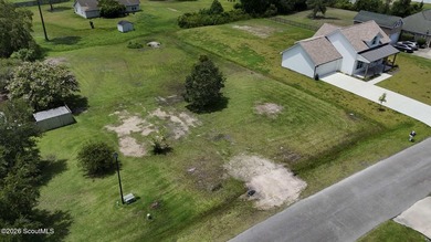 Come build your dream home on this beautiful cleared half acre - photo 3