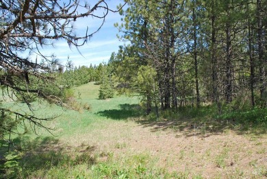 A Private Paradise on 80 Acres Just 18 miles from the heart of - photo 24
