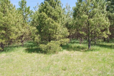A Private Paradise on 80 Acres Just 18 miles from the heart of - photo 25