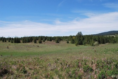 A Private Paradise on 80 Acres Just 18 miles from the heart of - photo 26