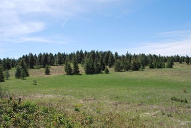 A Private Paradise on 80 Acres Just 18 miles from the heart of - photo 28