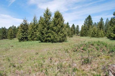 A Private Paradise on 80 Acres Just 18 miles from the heart of - photo 29