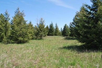 A Private Paradise on 80 Acres Just 18 miles from the heart of - photo 30