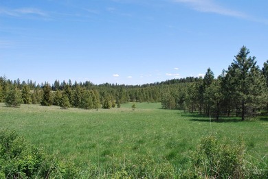 A Private Paradise on 80 Acres Just 18 miles from the heart of - photo 31