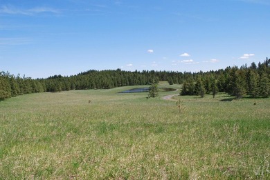 A Private Paradise on 80 Acres Just 18 miles from the heart of - photo 32
