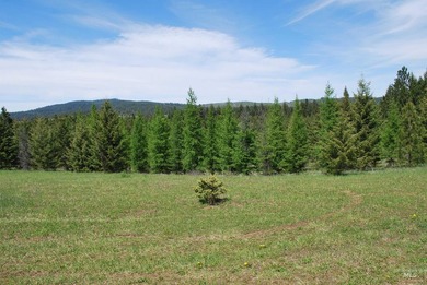 A Private Paradise on 80 Acres Just 18 miles from the heart of - photo 40