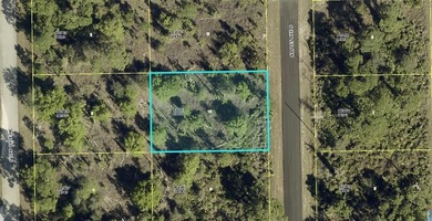 Lehigh Acres Area Lot For Sale in Lehigh Acres Florida