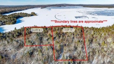 Lake Acreage For Sale in Cathance Township, Maine