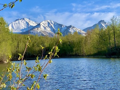 Lake Home For Sale in Chickaloon, Alaska