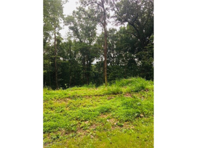 Lake Mohawk Lot For Sale in Malvern Ohio