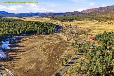 Luna Lake Lot For Sale in Alpine Arizona