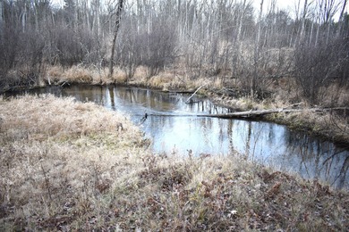 Syers Lake Lot For Sale in Luther Michigan