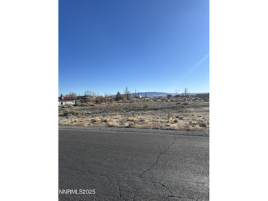Lake Lot For Sale in Silver Springs, Nevada