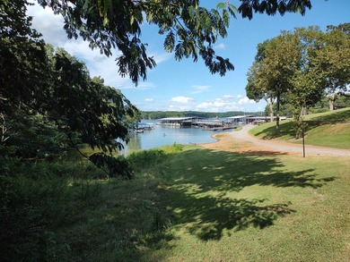 Located adjacent to Cypress Bay Marina on Kentucky Lake - photo 36