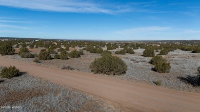 White Mountain Lake Lot Active Under Contract in Show Low Arizona