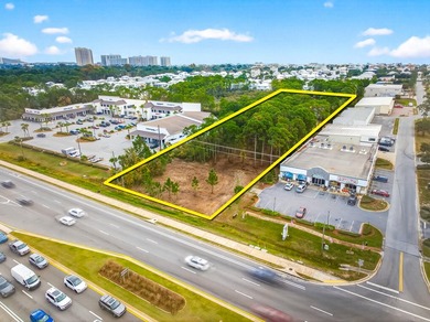 Fantastic vacant commercial parcel located in South Walton - photo 1