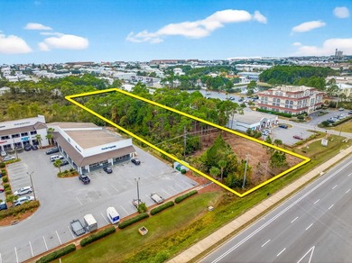 Fantastic vacant commercial parcel located in South Walton - photo 2