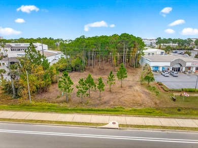 Fantastic vacant commercial parcel located in South Walton - photo 4