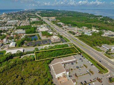 Fantastic vacant commercial parcel located in South Walton - photo 7