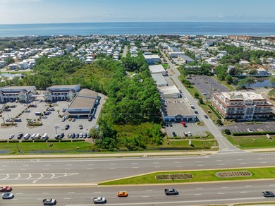 Fantastic vacant commercial parcel located in South Walton - photo 9