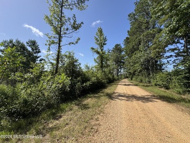 40+/- Acres - Topisaw Creek Recreational Tract Southwest - photo 12