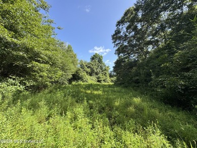 40+/- Acres - Topisaw Creek Recreational Tract Southwest - photo 16