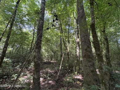 40+/- Acres - Topisaw Creek Recreational Tract Southwest - photo 18