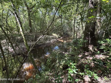 40+/- Acres - Topisaw Creek Recreational Tract Southwest - photo 21