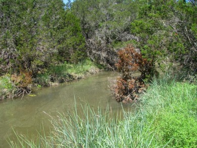 (private lake, pond, creek) Acreage For Sale in Evant Texas