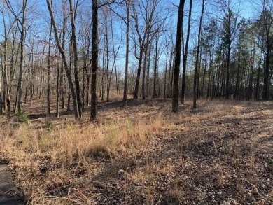 Pickwick Lake Acreage For Sale in Savannah Tennessee