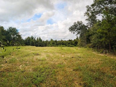 Chattahoochee Mini Farm Chattahoochee Mini Farm is located in - photo 7