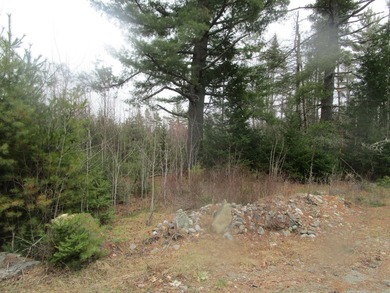 Two and a quarter acre of land with frontage on Sibley Brook - photo 1