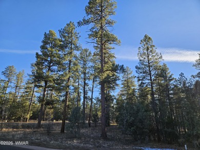 (private lake, pond, creek) Home For Sale in Show Low Arizona