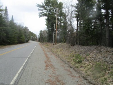 Two and a quarter acre of land with frontage on Sibley Brook - photo 3