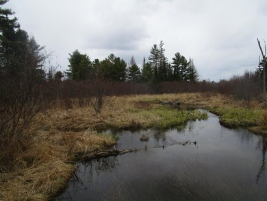 Two and a quarter acre of land with frontage on Sibley Brook - photo 7