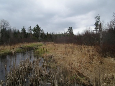 Two and a quarter acre of land with frontage on Sibley Brook - photo 8